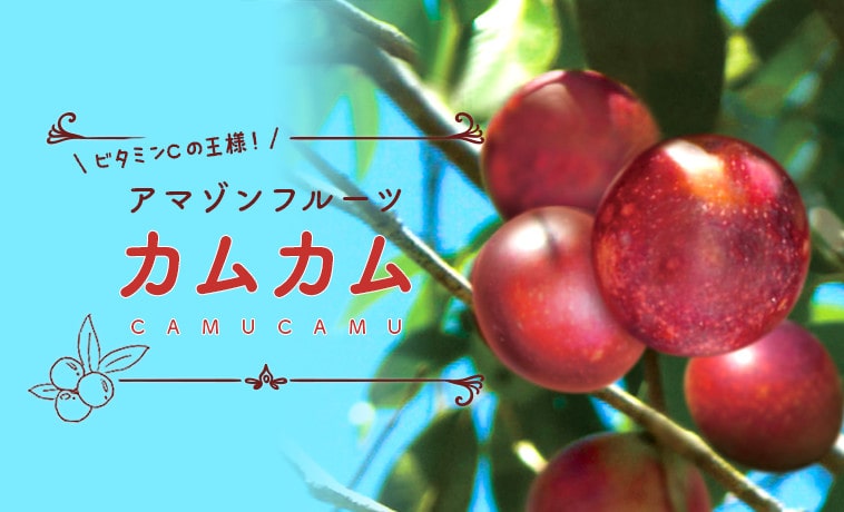 ビタミンの摂り方