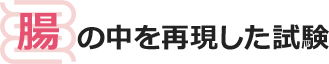 胃の中を再現した試験