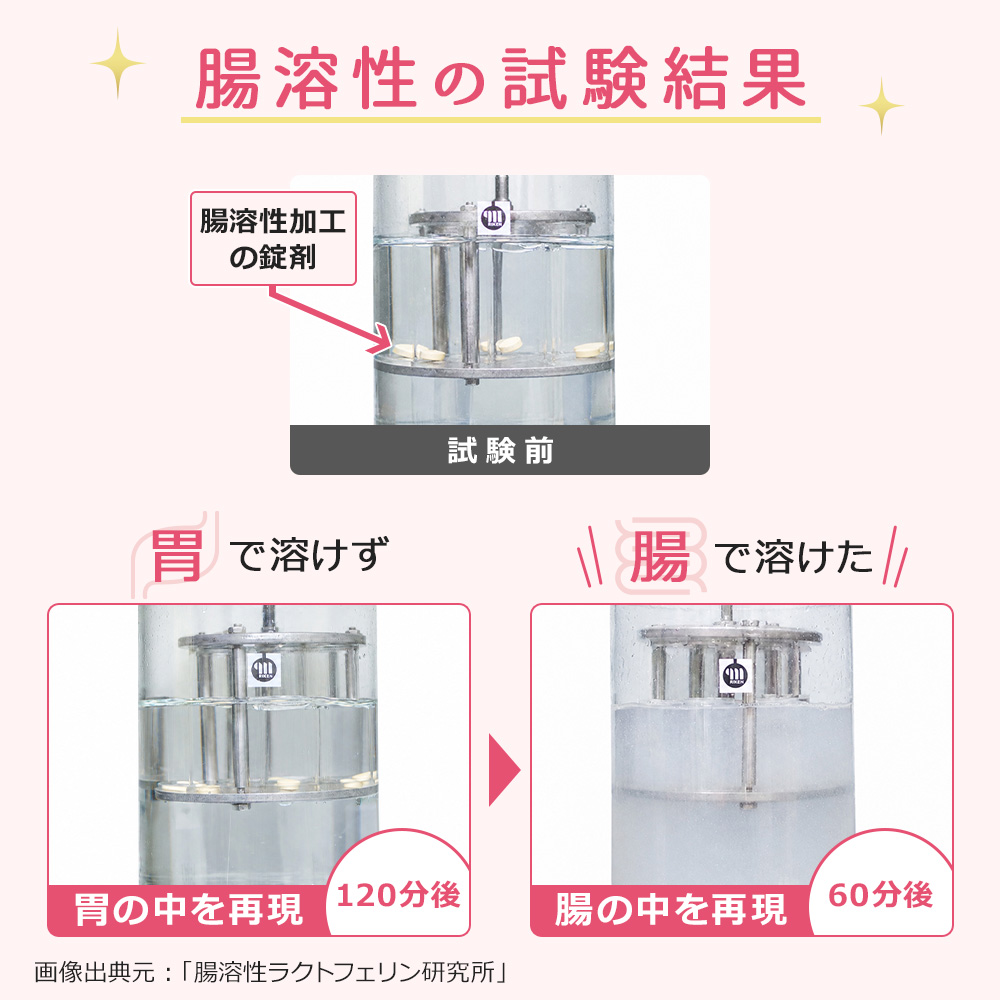 腸溶性の試験結果