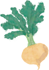 黄色マカのイラスト