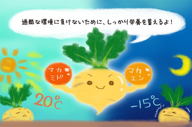 過酷な環境に負けないために、しっかり栄養を蓄えるよ!