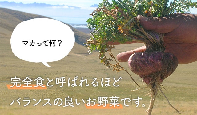 ヤマノのマカをもっと詳しく!