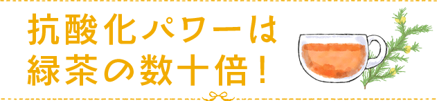 抗酸化パワーは緑茶の数十倍!