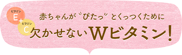 赤ちゃんが"ぴたっ"とくっつくために欠かせないWビタミン!
