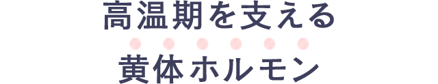 高温期を支える黄体ホルモン