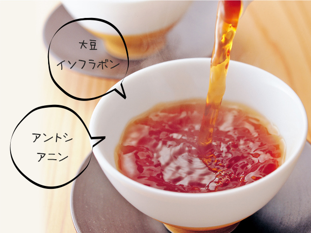 発芽黒豆茶