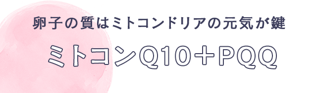 卵子の質はミトコンドリアの元気が鍵　ミトコンQ10＋PQQ