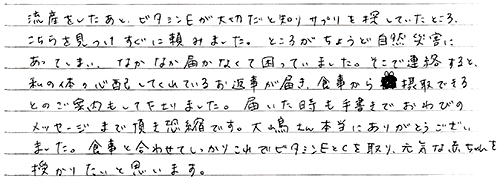 頂いたお手紙の画像