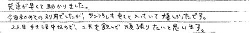 頂いたお手紙の画像