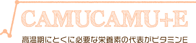 高温期にとくに必要な栄養素の代表がビタミンE!