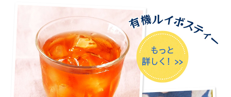 有機ルイボスティーについてもっと詳しく！
