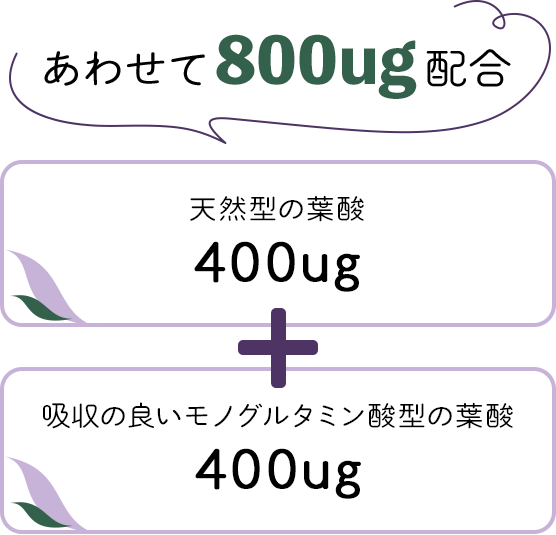 天然型の葉酸400μg+吸収の良いモノグルタミン酸型の葉酸400μg=あわせて800μg配合