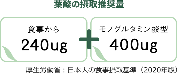 葉酸の摂取推奨量 食事から240μg+モノグルタミン酸型葉酸400ug 厚生労働省:日本人の食事摂取基準(2020年版)