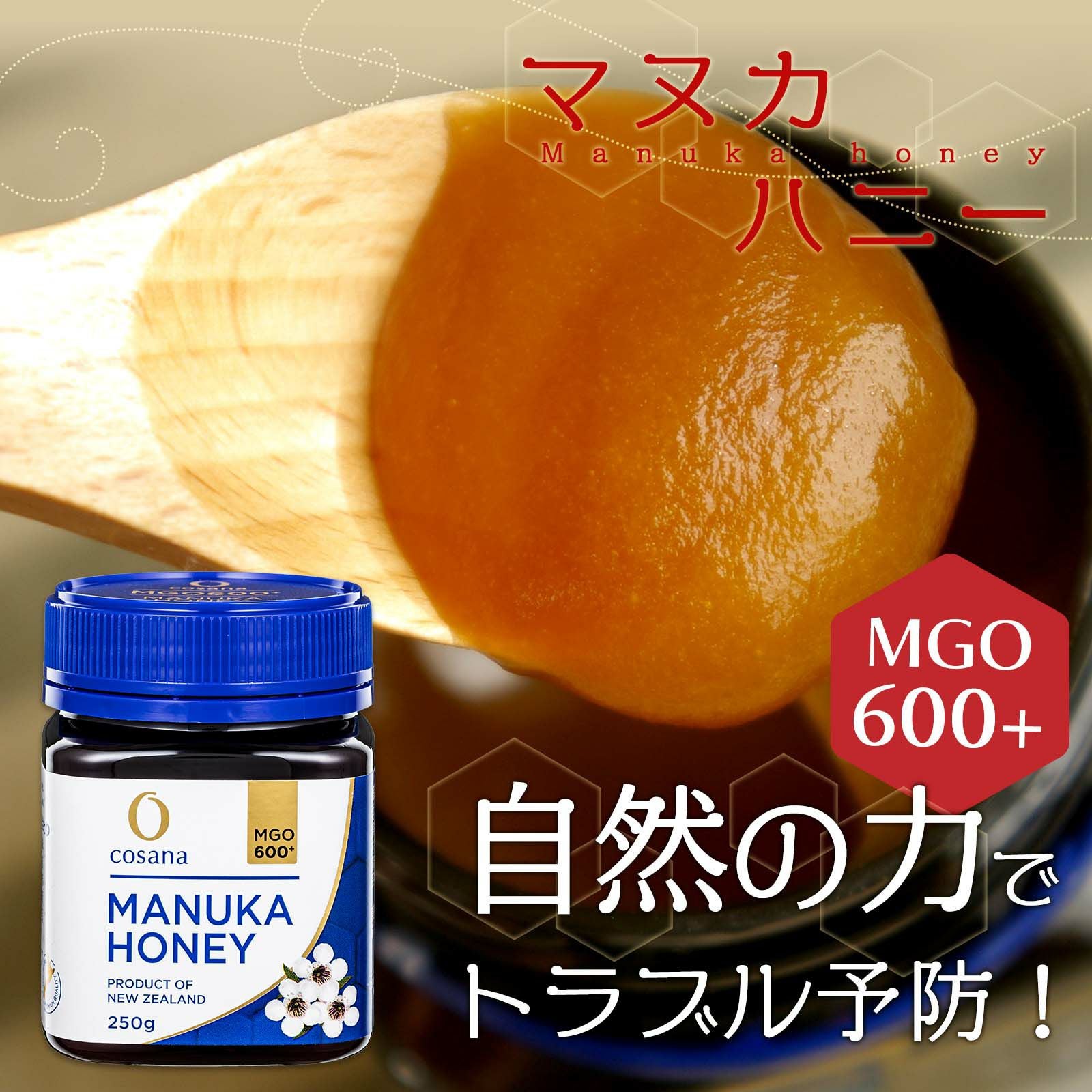 コサナ マヌカハニー MGO600+ 250g 5個セット ニュージーランド