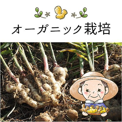 オーガニック栽培