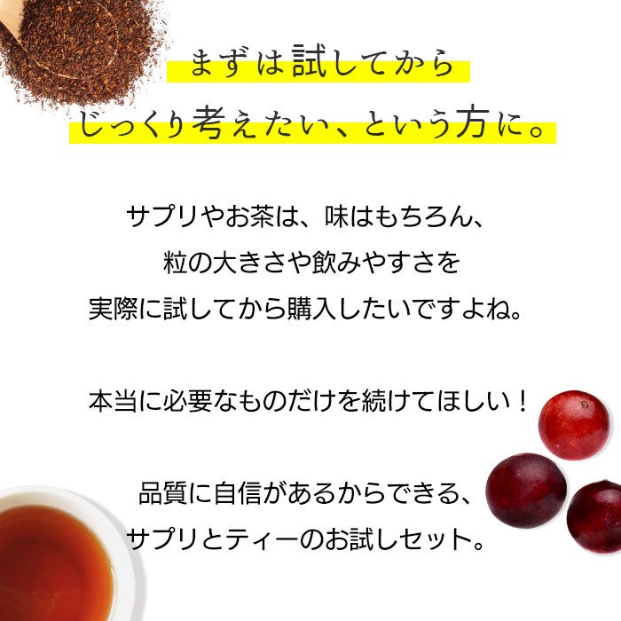 まずは試してからじっくり考えたいという方に